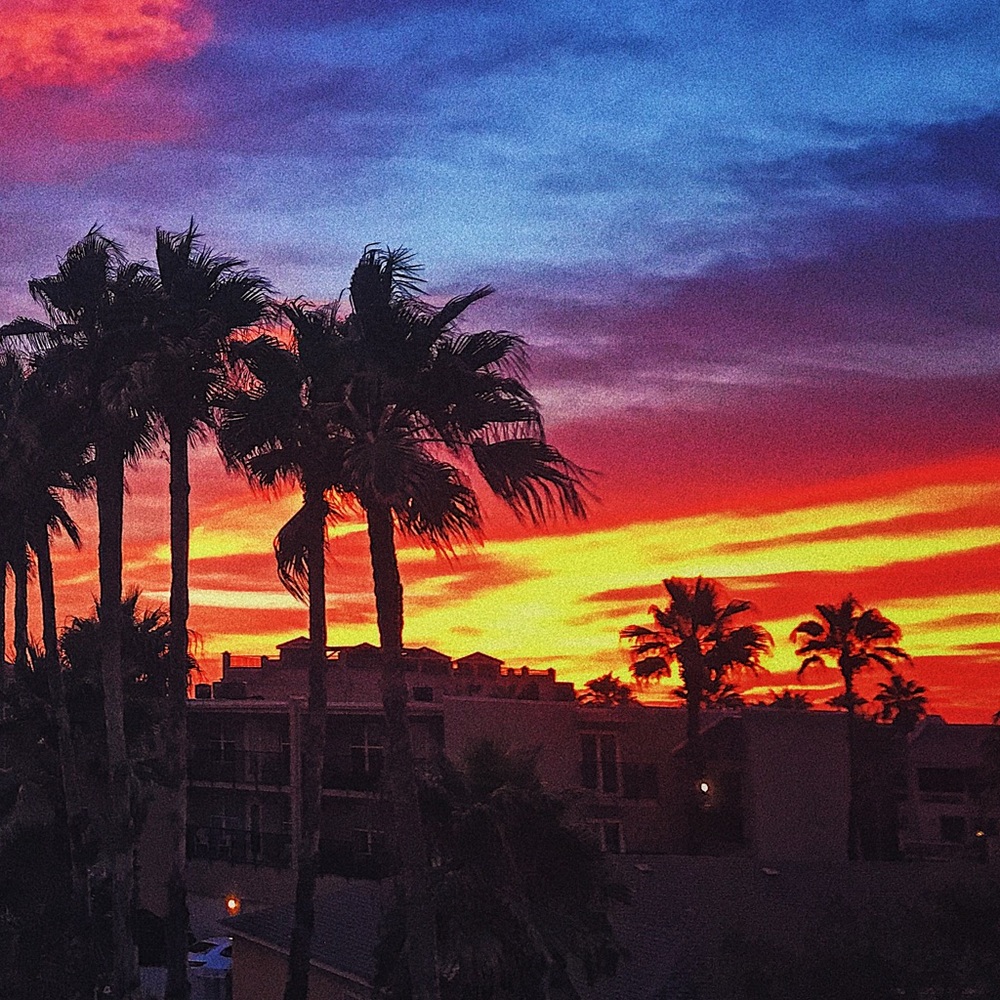 Meet your Posher, Morgan